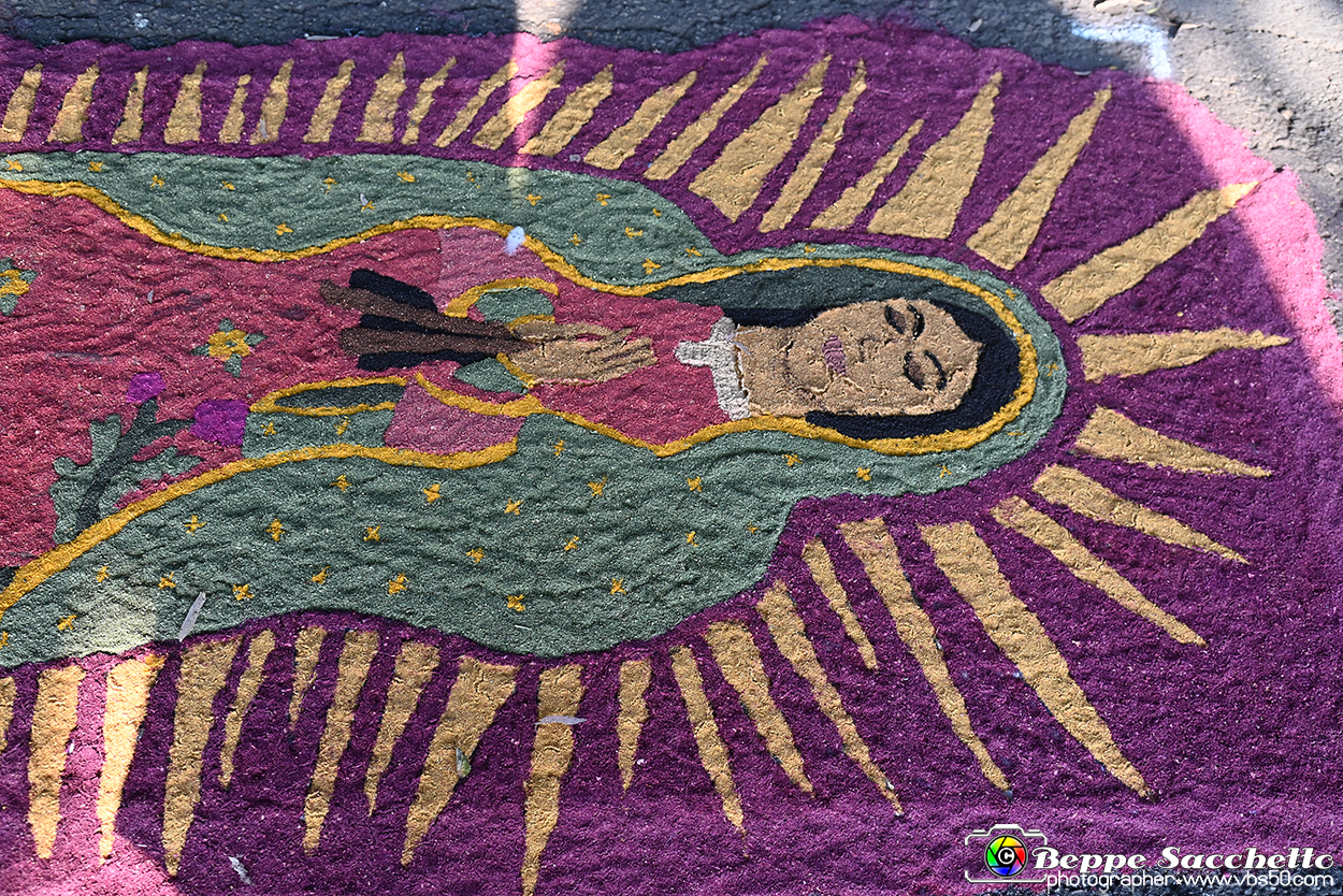 VBS_9861 - Infiorata Santuario della Madonnina di Villanova d'Asti 2024.jpg